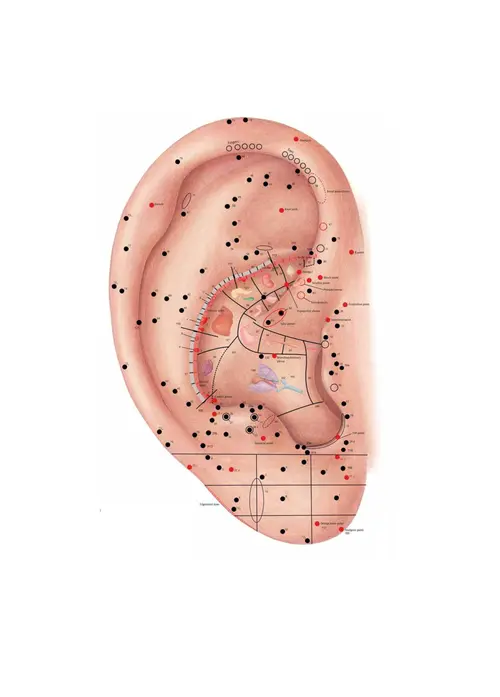 Oorreflexologie